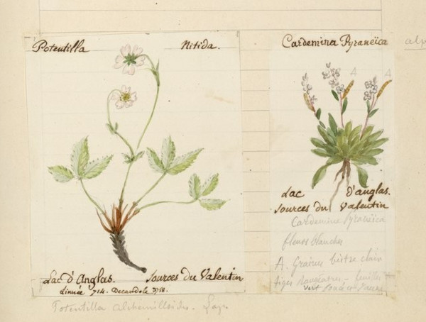 Aquarelles par A.-G. Houbigant